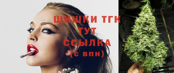 винт Снежинск