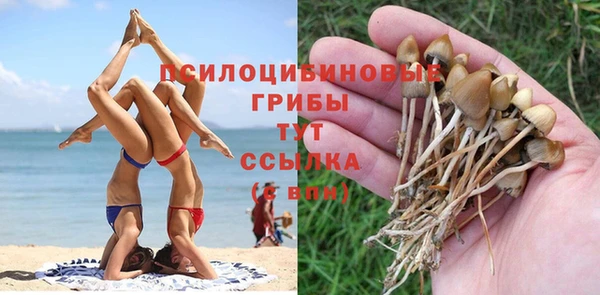 гидропоника Баксан