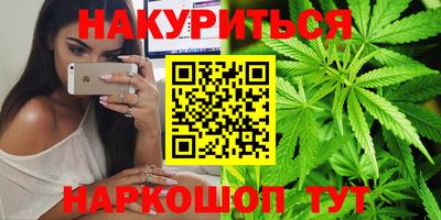 стаф Дубна