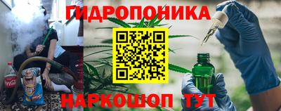 стаф Дубна