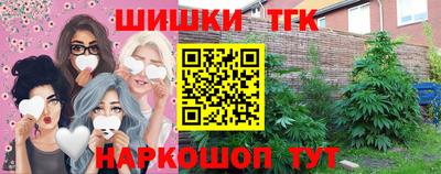 стаф Дубна