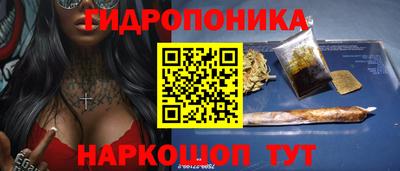 стаф Дубна