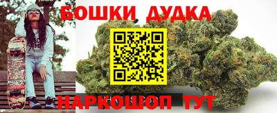 стаф Дубна