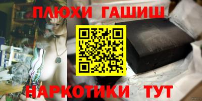 стаф Дубна