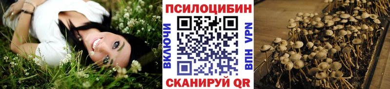 купить наркотики цена  Губаха  Галлюциногенные грибы мицелий 