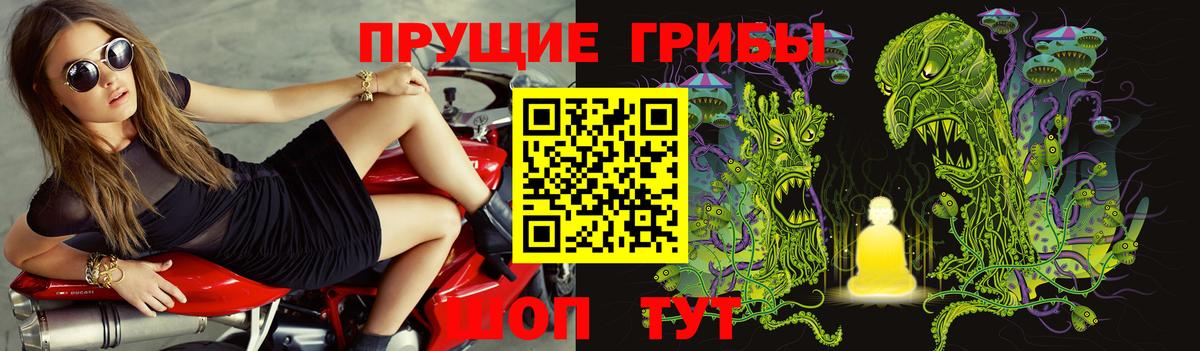 Псилоцибиновые грибы мухоморы Губаха