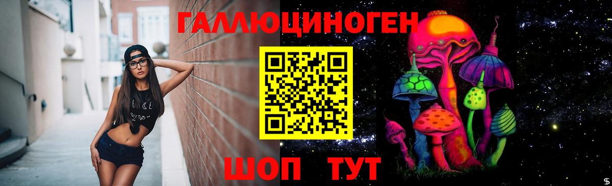 Галлюциногенные грибы GOLDEN TEACHER  Псилоцибиновые грибы Cubensis  купить  сайты  Вход с VPN  Губаха 